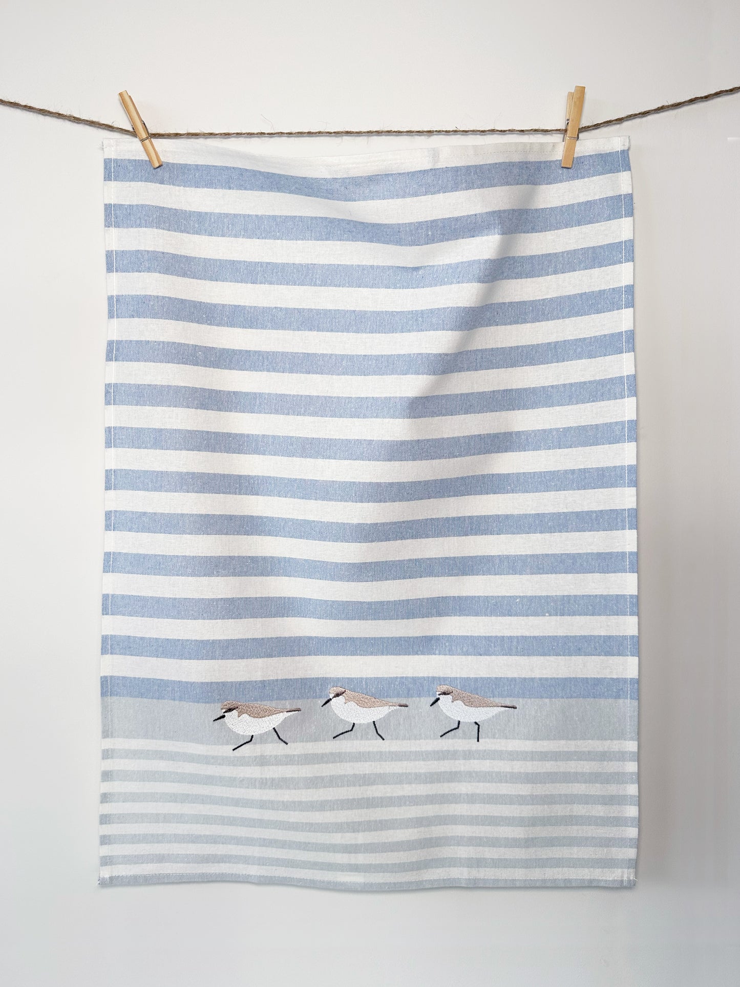 Ocean Sandpipers